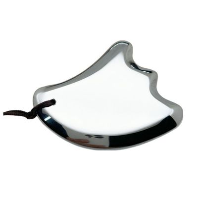 Terahertz Gua Sha Massage Scraping Tool für Körpermassage Ausrüstung und Gesichtsschönheit Mini-Massager