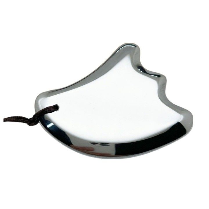 Terahertz Gua Sha Massage Scraping Tool für Körpermassage Ausrüstung und Gesichtsschönheit Mini-Massager