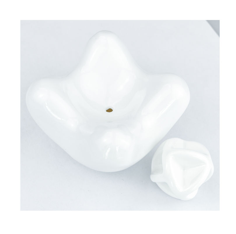 Erleben Sie die traditionelle Heilkraft des keramischen Gua Sha Gesichtswerkzeugs zur Körperentspannung
